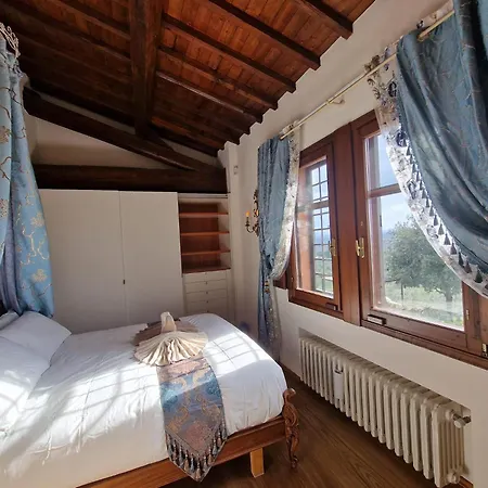 Dei Fagiani - 4* Montauto (Florence)