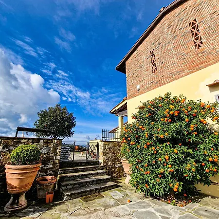 Dei Fagiani - 4* Montauto (Florence)