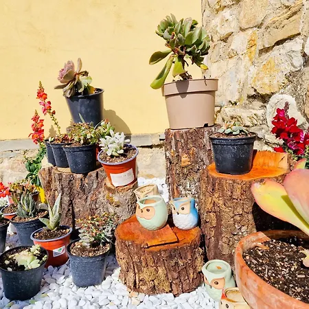 Nocleg ze śniadaniem Dei Fagiani - 4*