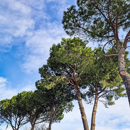 Dei Fagiani - 4* Montauto (Florence)