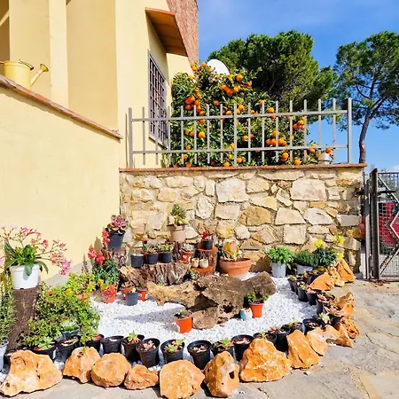 Nocleg ze śniadaniem Dei Fagiani - 4*