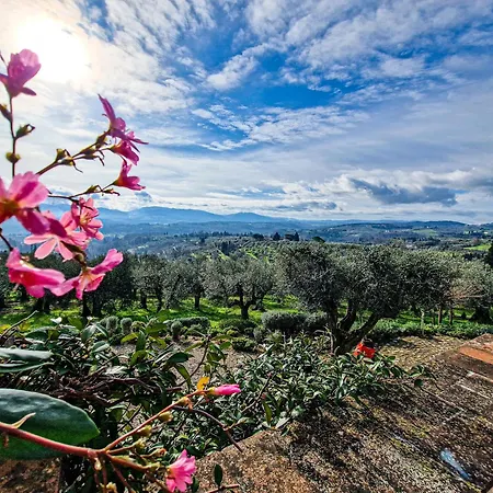 Dei Fagiani - Nocleg ze śniadaniem